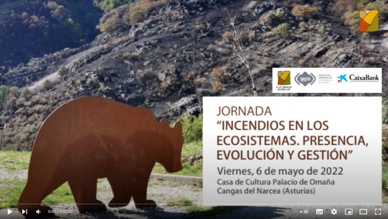 Jornada Incendios en los ecosistemas
