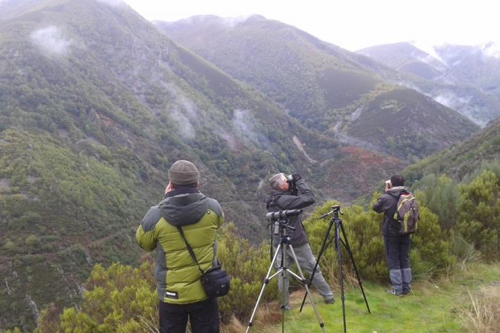 Observación fauna