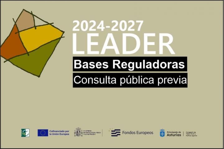 Bases reguladoras. Consulta pública previa
